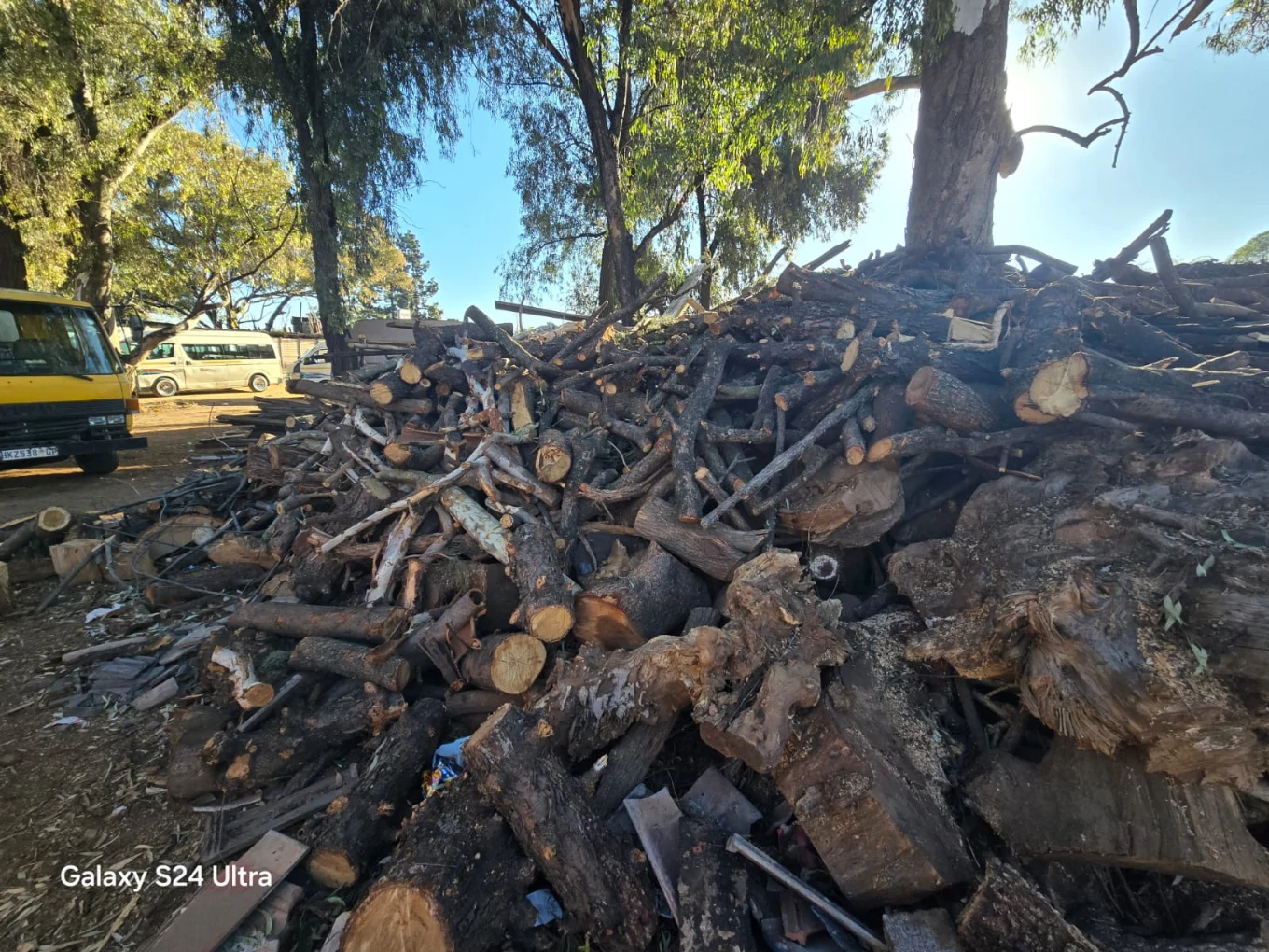 Another pile of wood